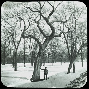 fairmount-archive-lantern-slide-promo