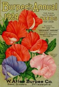 1924BurpeesAnnualPresidentHarding